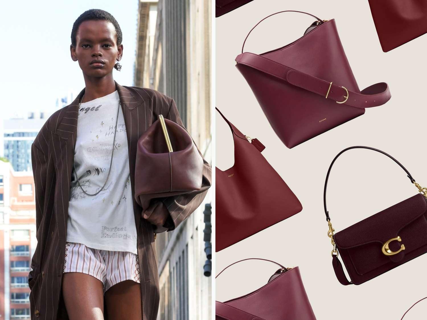 Vee Collection Mission